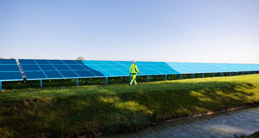 Man walking along solar panels in a Dutch solar farm