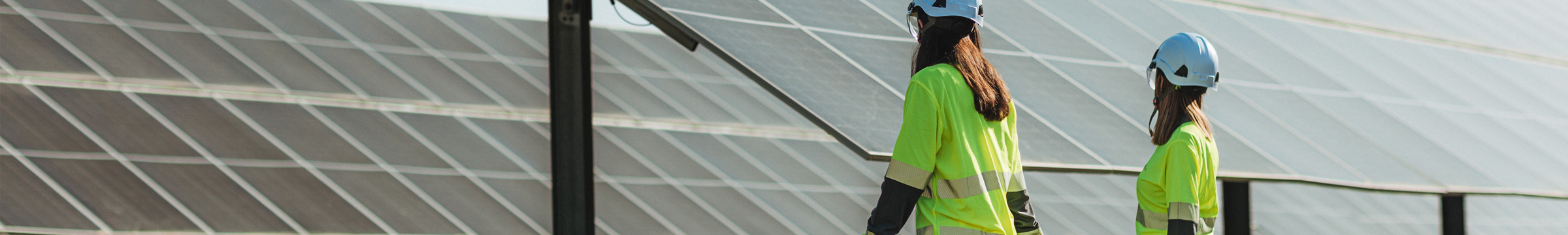 Solar farm with people