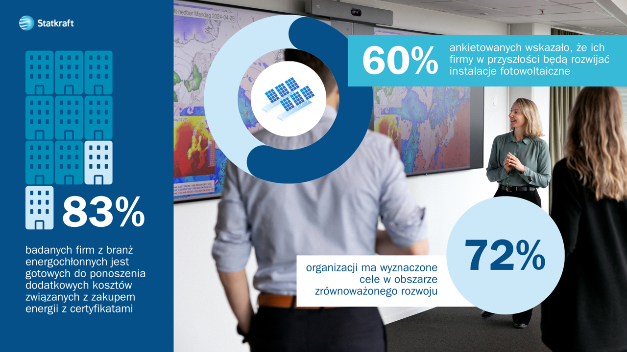 Graphics overview energy perception survey Poland, industry details